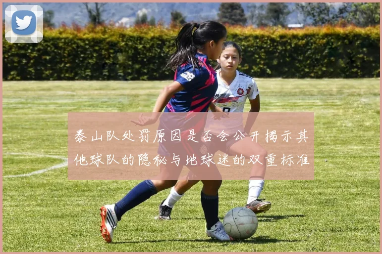 泰山队处罚原因是否会公开揭示其他球队的隐秘与地球迷的双重标准