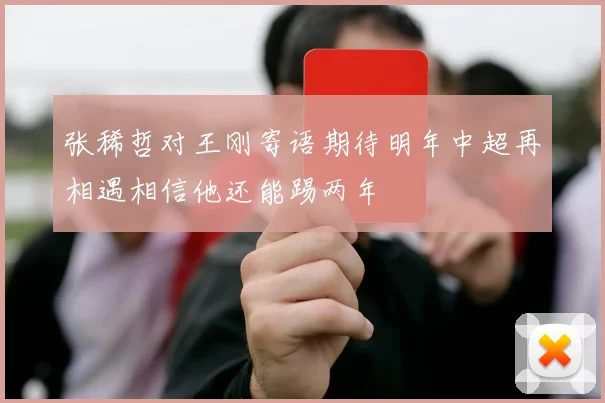 张稀哲对王刚寄语期待明年中超再相遇相信他还能踢两年