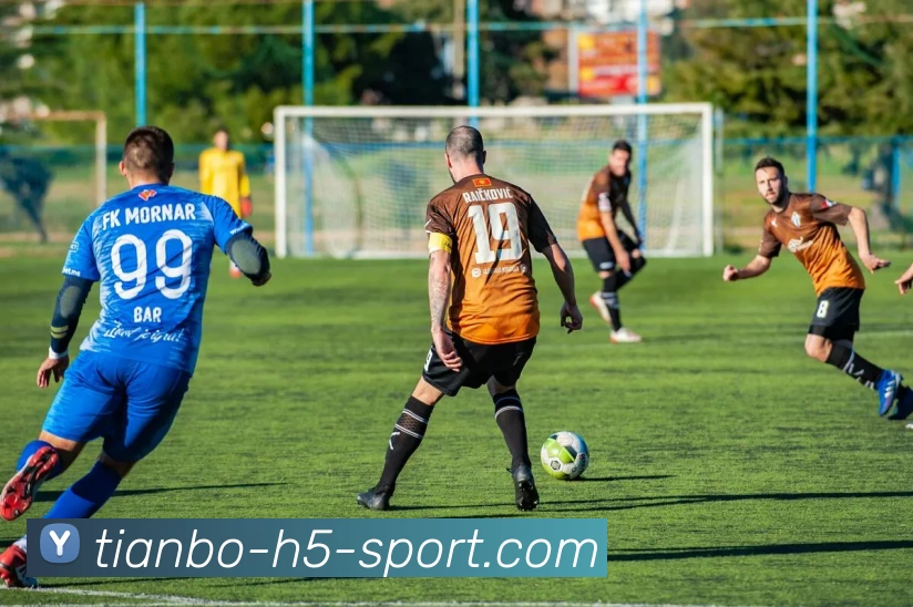 天博体育服务体系